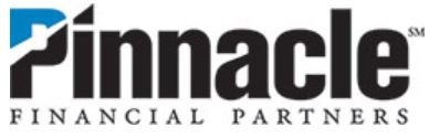 Pinnacle Partners logo